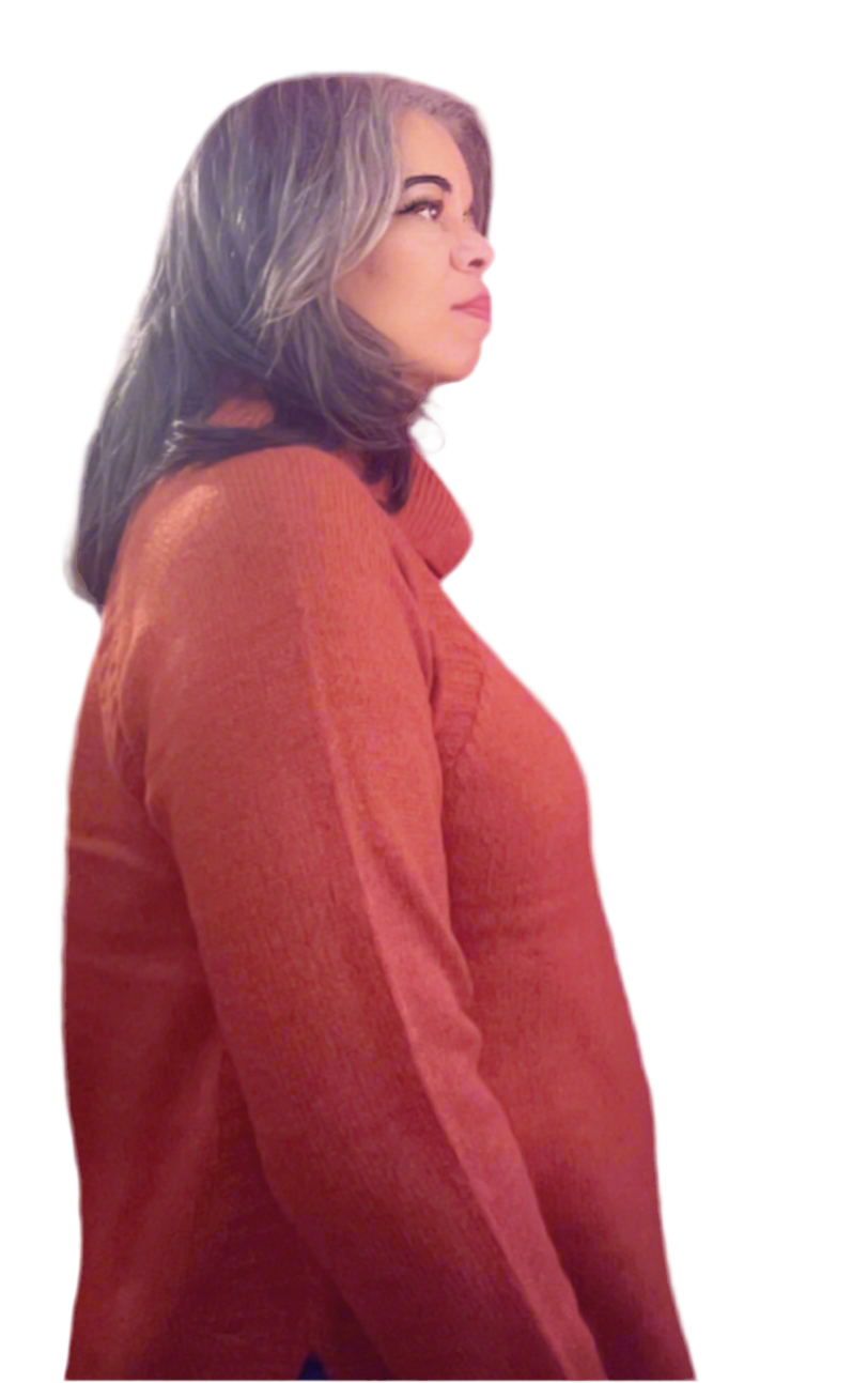 Cowl Neck Long Sleeve Sweater - Rust