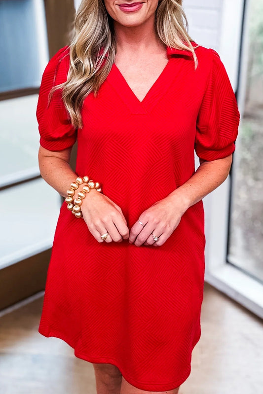 Textured Collared V- Neck Dress - Red (Pre-Order)