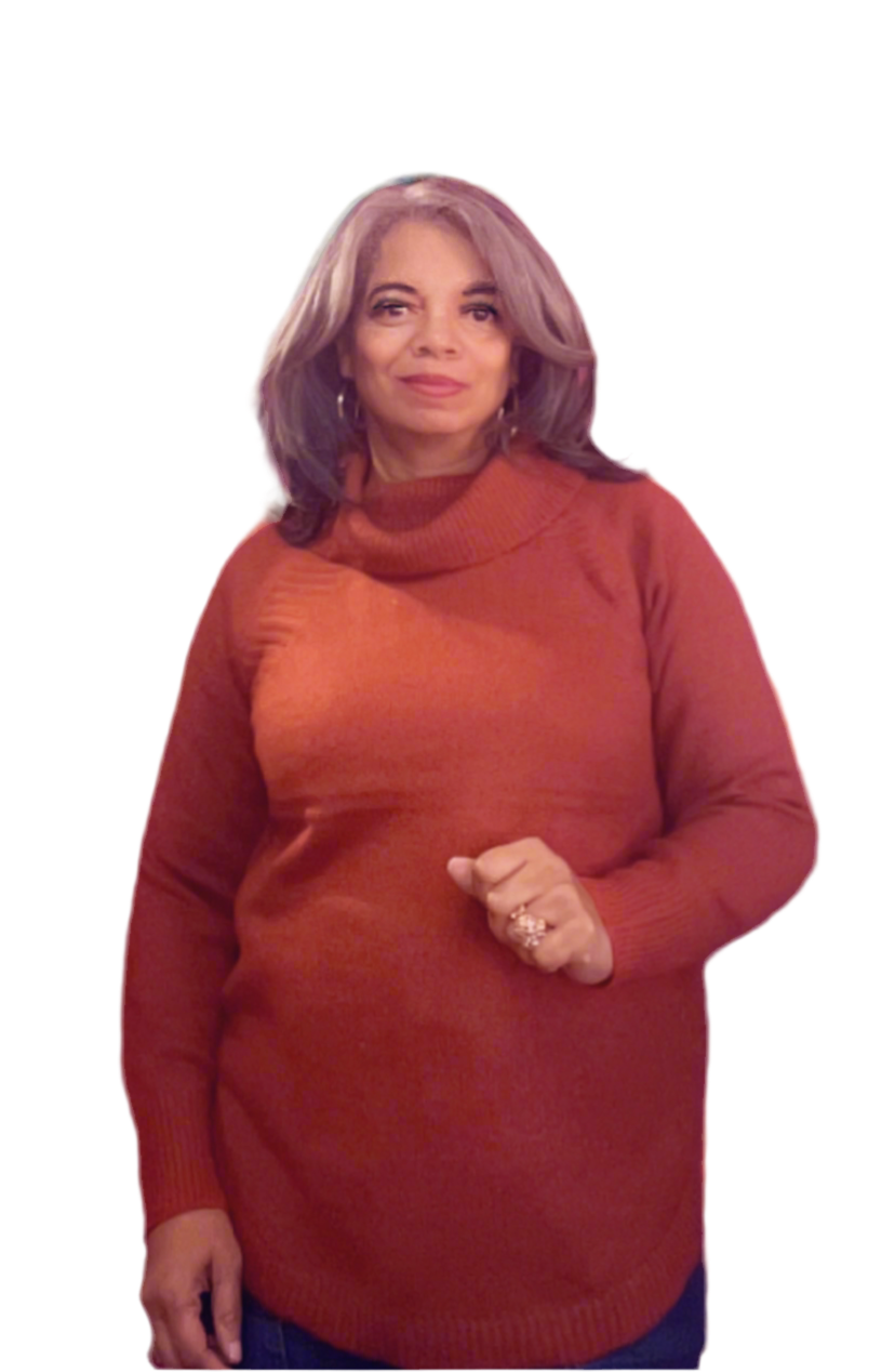 Cowl Neck Long Sleeve Sweater - Rust