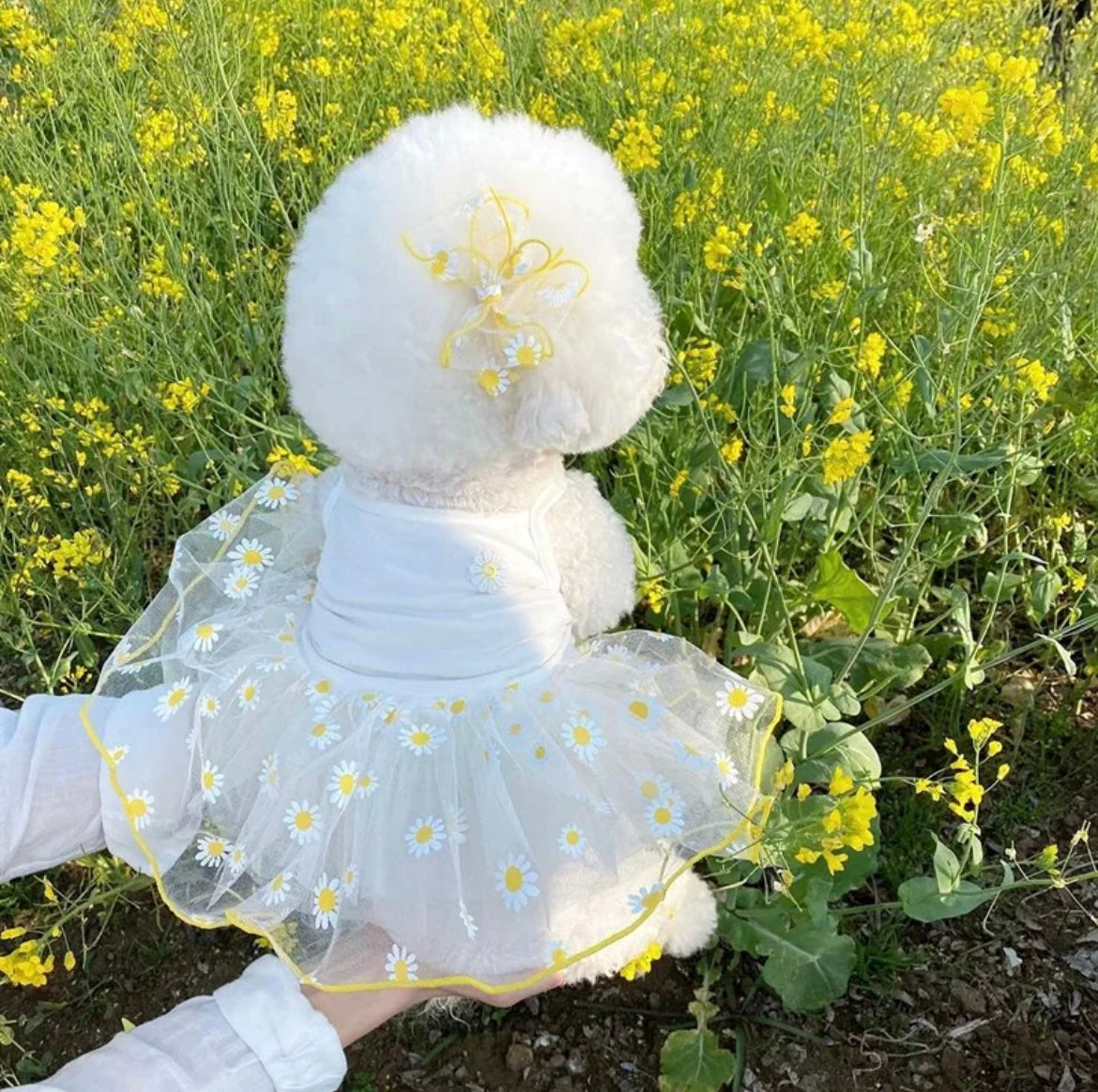 Daisy Tutu Dog Dress with Matching Bow | Spring Puppy Dress for Dogs