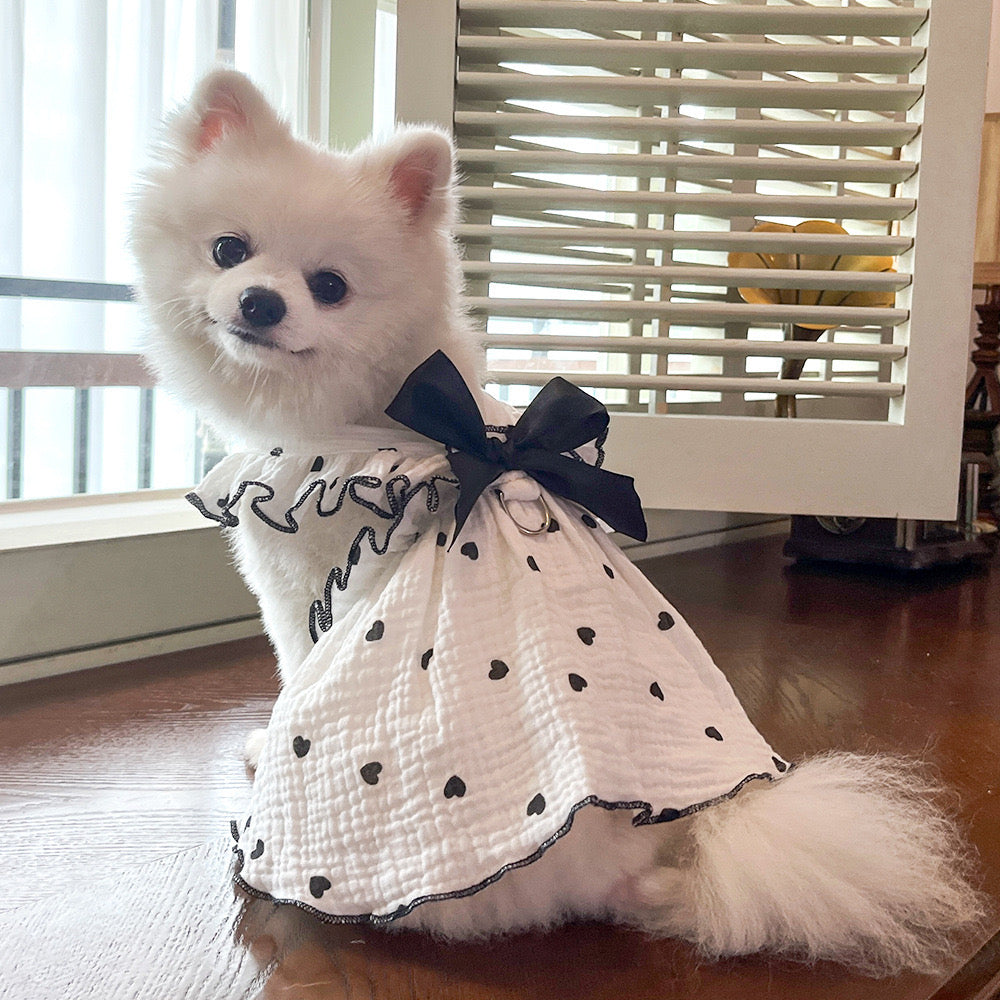 Black & White Heart Print Dog Dress with Bow | Boutique Puppy Dress for  Dogs