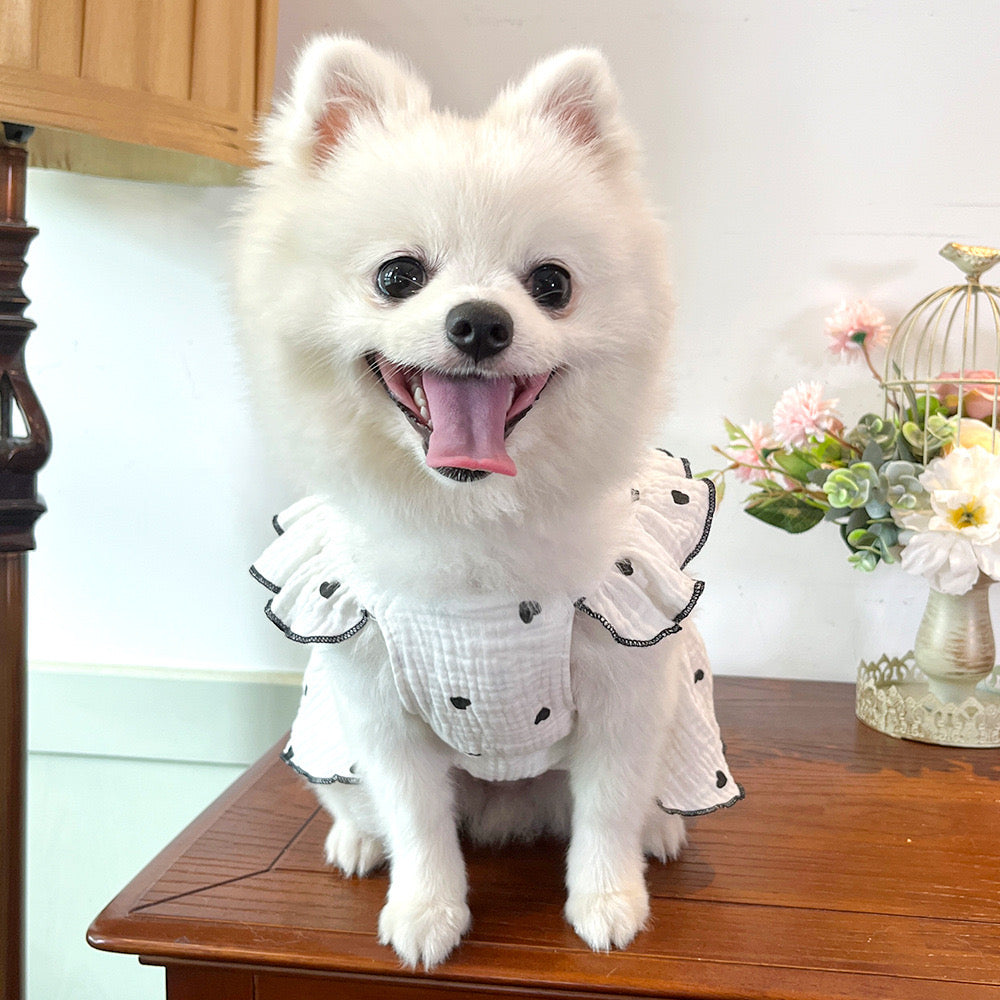 Black & White Heart Print Dog Dress with Bow | Boutique Puppy Dress for  Dogs