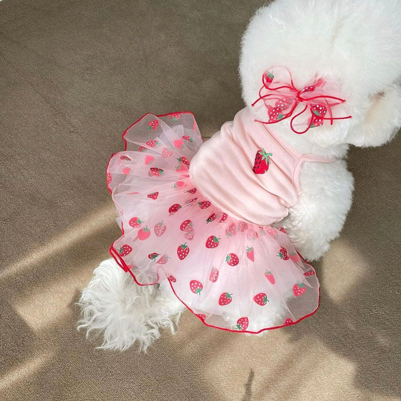 Strawberry Print Dog Dress with Tulle Skirt & Bow