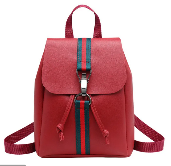 Woman's Designer Inspired Mini Backpack