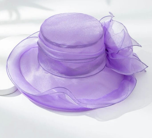 Organza Brim Mesh - Purple Hat